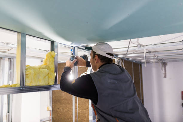 Professional Insulation Contractor in Mont Belvieu, TX