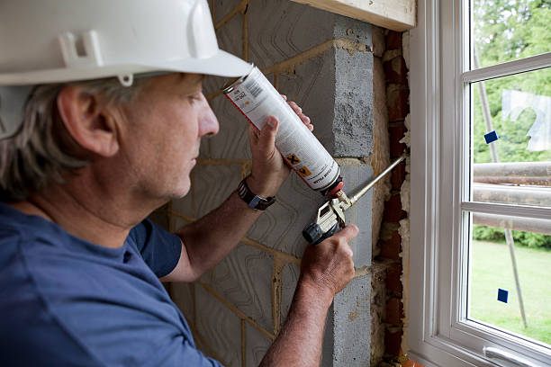 Best Cellulose Insulation in Mont Belvieu, TX