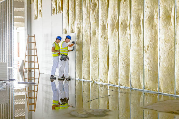 Best Blown-in Insulation in Mont Belvieu, TX